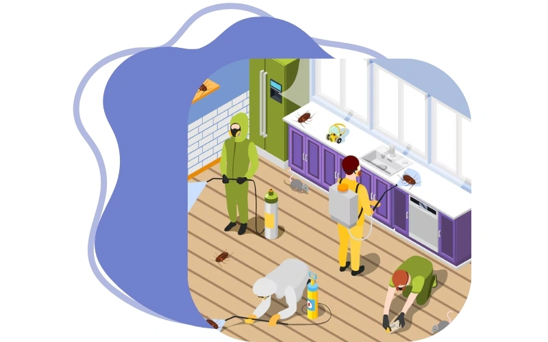 Pest Control Services in Karapakkam